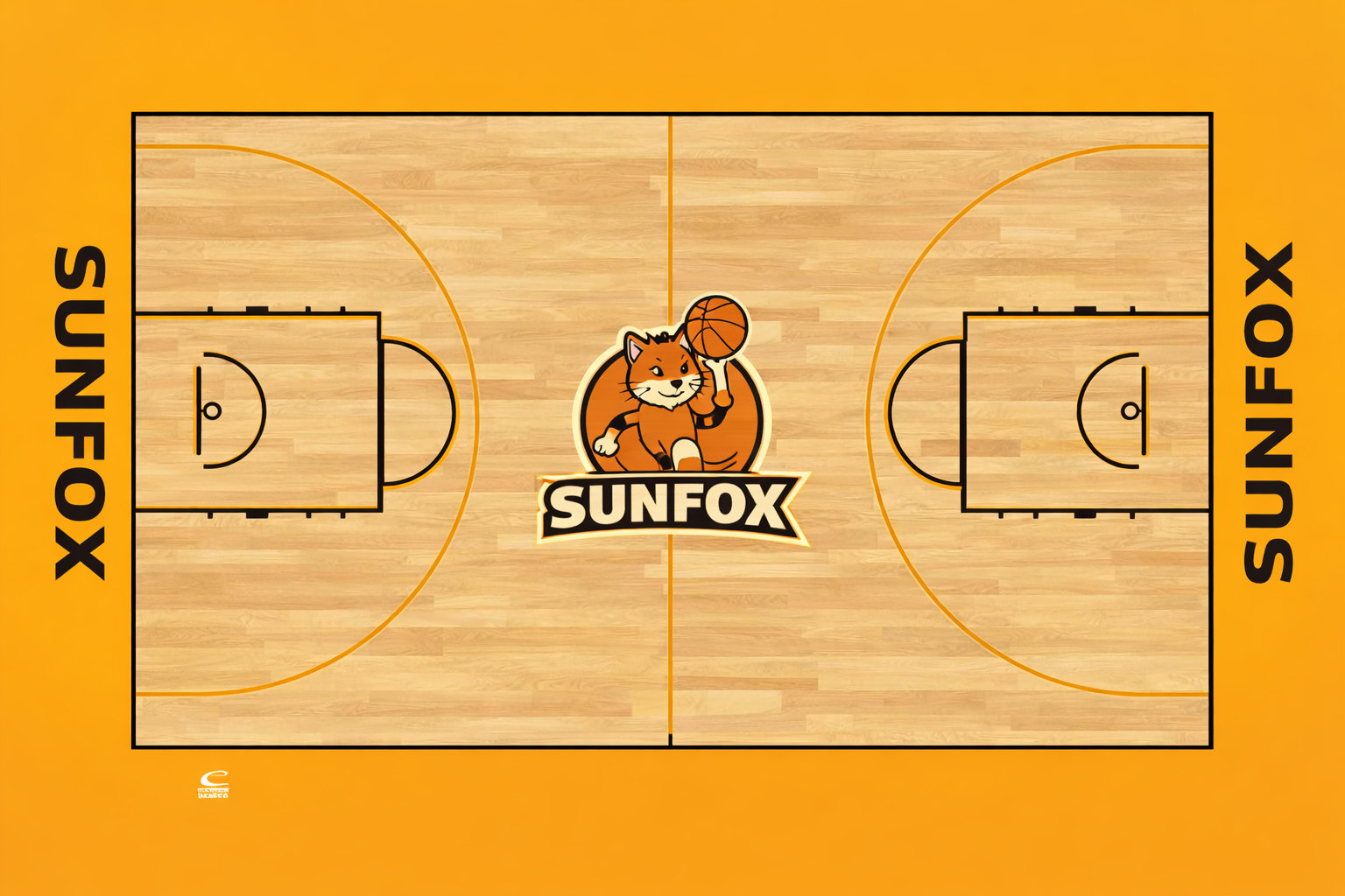 標準顏色分區運動球場效果圖